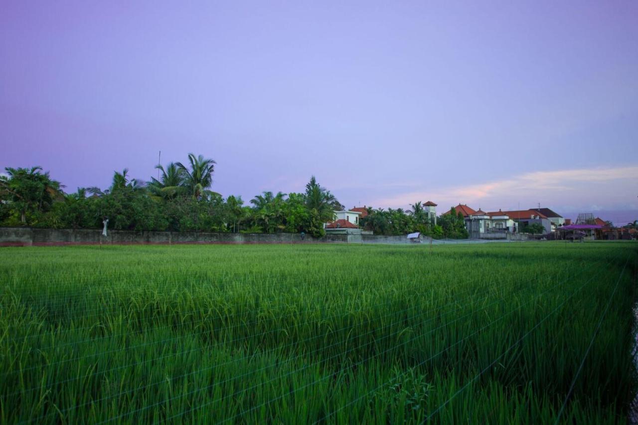 The Awandari Villas Seminyak - Chse Certified Екстер'єр фото